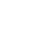 decoy